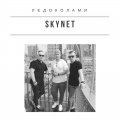 Skynet - Ледоколами