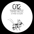 Tamer Akgul - Move On