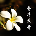 詹惠元 - 静待花开