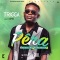 邓子楠、Trigga - Pêra (Explicit)