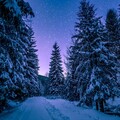 Rain for Deep Sleep、Chansons de Noël、Kids Christmas Songs Orchestra - December Miracle