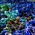 Chloé、CDZ! - For The Love