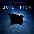 Nigel Hayes、Quiet Fish、Nigel Hayes presents Quiet Fish - So Good (Deep mix)