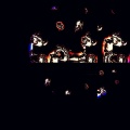Alive - Mimicry