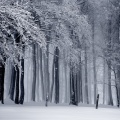 20 Divine Christmas Meditation and Relaxation Melodies