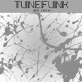 Tunefunk - Vibe (Minimal Mix)