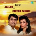 Chitra Singh、jagjit singh - Ishq Men Ghirat-E-Jazbaat Ne Roone Na Diya & Yaar Ko Main Ne Mujhe Yaar Ne Sone
