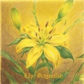Dragon Ash - Somewhere