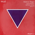 Marco Tegui、Tony V - What It Takes