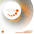 Evolving Remixes