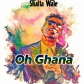 Shatta Wale - Oh Ghana