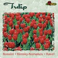 Djansug Kakhidze、Tbilisi Symphony Orchestra - Swan Lake, Op. 20 Act I, No.8 Danse des coupes (Dance with the cups): Tempo di polacca