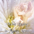 Child Care Masters - In Mom's Arms