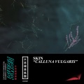 Skin - Bloom