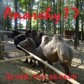 Anarchy17 - Дорога ниоткуда в никуда