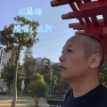 文轩 - 杜鹃泪