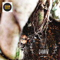 Blue Lines - Dawn