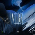 Gator - Vibe (Explicit)