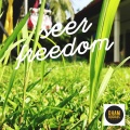 seer - Freedom