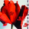 小明dosol - Funambule