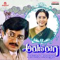 S.P.Balasubrahmanyam - Hagalu Ratri