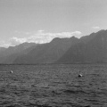 DRWN. - seesea closing