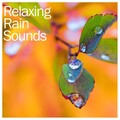 Relaxing Music Therapy、Rain Sound Studio、Loopable Sounds for Babies - Coastal Rain