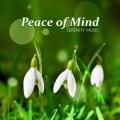 Peace of Mind: Serenity Music – Soothing Music for Relaxation, Destress, Anxiety Free, Positive Attitude, Relaxing Background Music