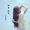 夏洛菲 - 知否知否