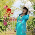 李红 - 沙枣花儿香