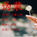 郭子涛 - 伪装