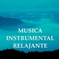 Relajación Natural Maestro - Bienestar