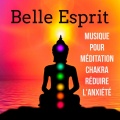 Belle Esprit - Musique instrumentale pour méditation chakra thérapie par le son réduire l'anxiété avec sons de la nature new age relaxants