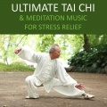 Yoga Trainer - Daily Yoga Meditation