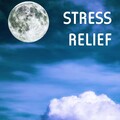 Stress Relief - Relaxing Music for Time Alone at Home