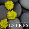Como Combatir el Estres