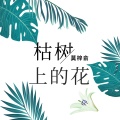 莫梓俞 - 枯树上的花