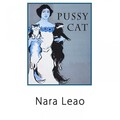 Pussy Cat