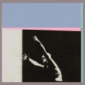 Baron - New Follower