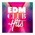 Ultimate Dance Hits - Summer of Love