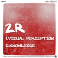 Visual Perception