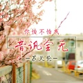 苏天伦 - 韩式潮电
