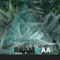 Draammaa - Solar Plex
