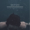 Skitzo - Schemin