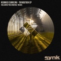 Rodrigo Carreira - Transition