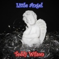 teddy wilson - Everything's Coming Up Roses