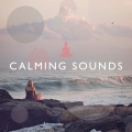 Uma Gaye - Meditation: Hang Drum and Bird Sounds