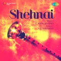 Binapani Mukherjee、Mohantara Talpade、Meena Kapoor、chorus - Sone Ki Machhariya