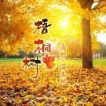 南哲、温柔妍 - 梧桐树的街角