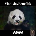 Vladislav Benefick - Milky Way